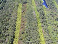 2009-08-07_028_Luftaufnahmen_Haspelmoor