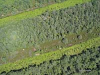 2009-08-07_030_Luftaufnahmen_Haspelmoor