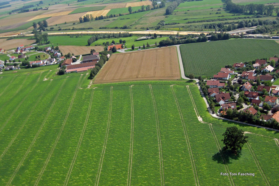 2009-08-07_046_Luftaufnahmen_Haspelmoor_Nord