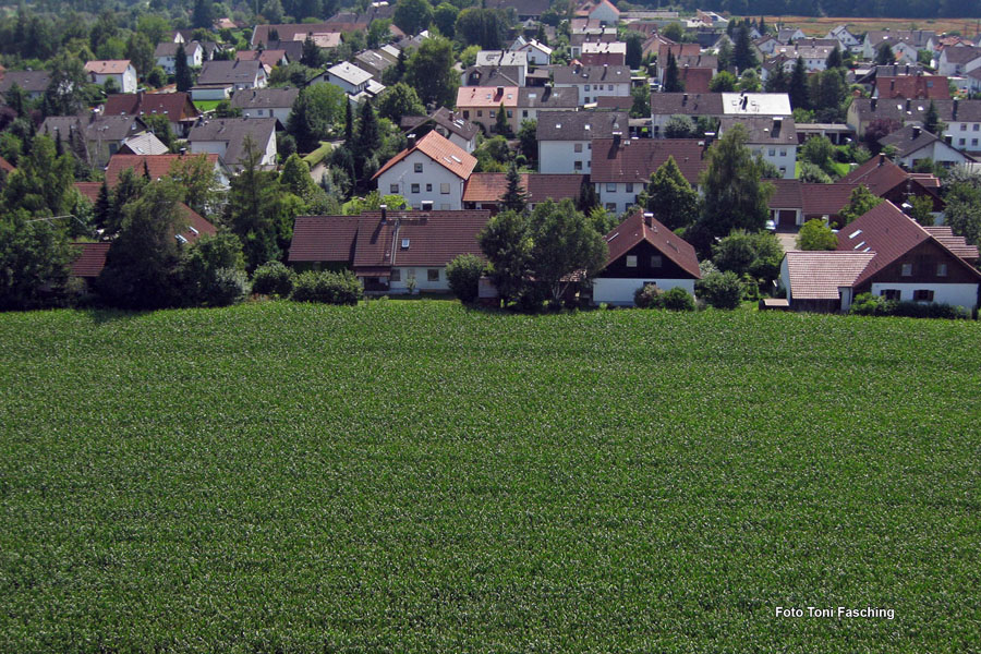 2009-08-07_050_Luftaufnahmen_Haspelmoor_Nord