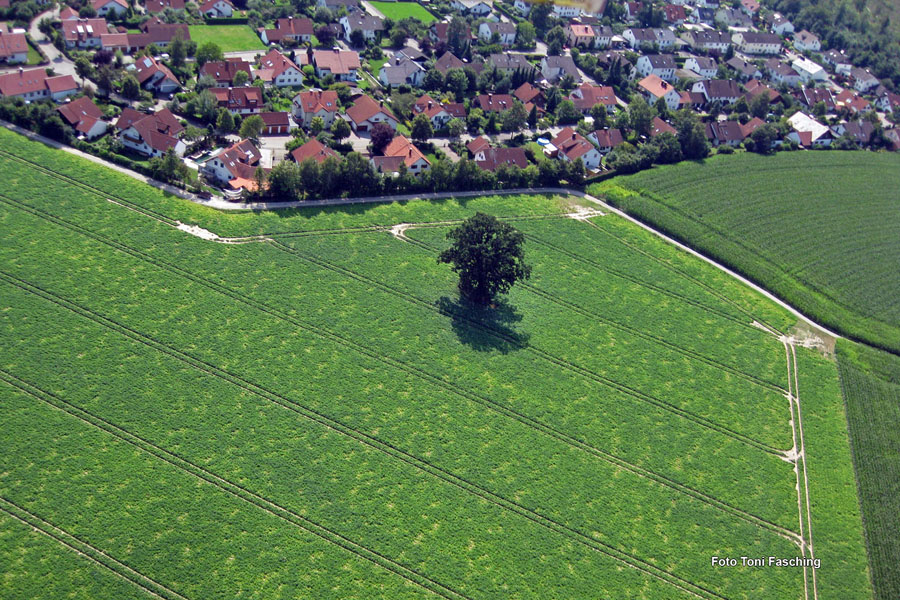 2009-08-07_062_Luftaufnahmen_Haspelmoor_Nord