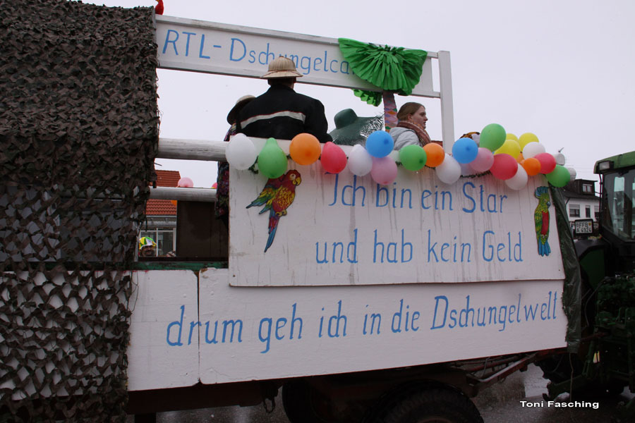 2009-02-24_021_Faschingszug
