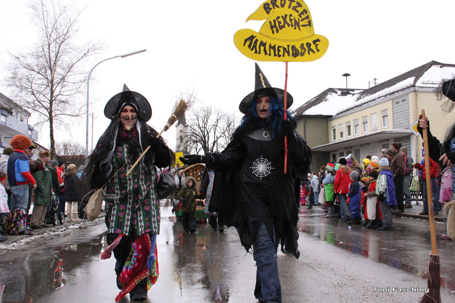 2009-02-24_030_Faschingszug