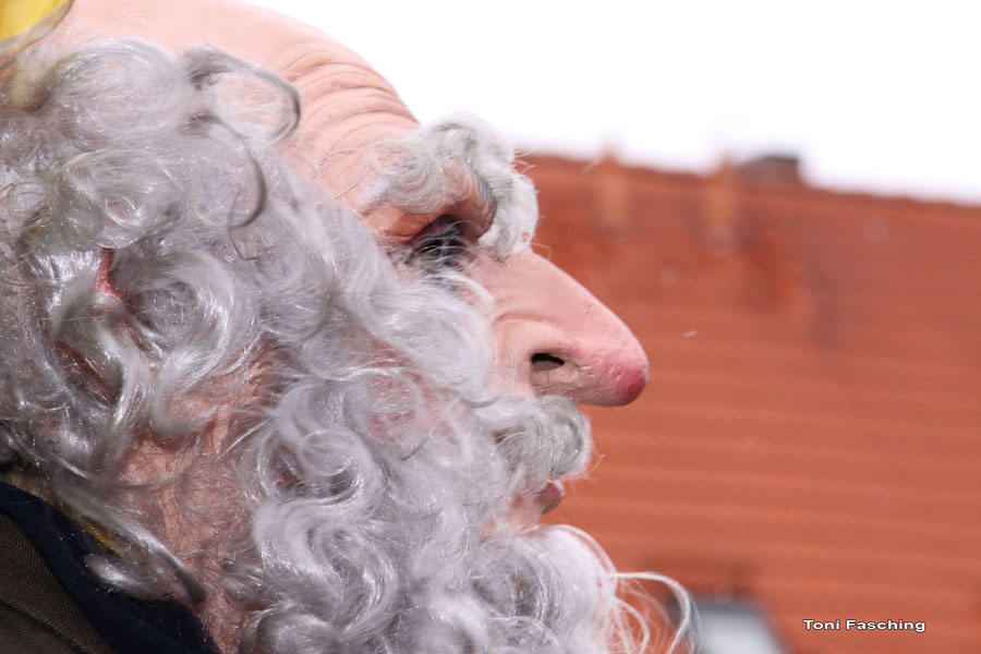 2009-02-24_035_Faschingszug