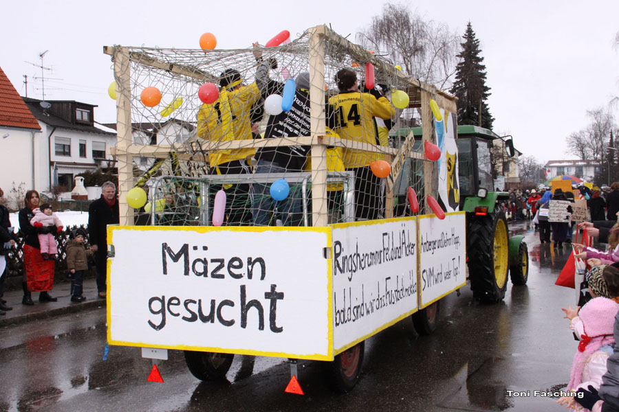 2009-02-24_039_Faschingszug
