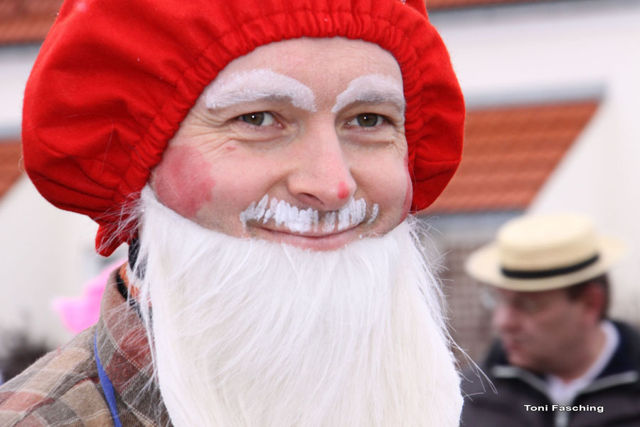 2009-02-24_043_Faschingszug