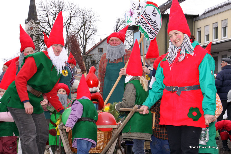 2009-02-24_044_Faschingszug