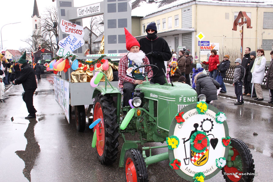 2009-02-24_046_Faschingszug