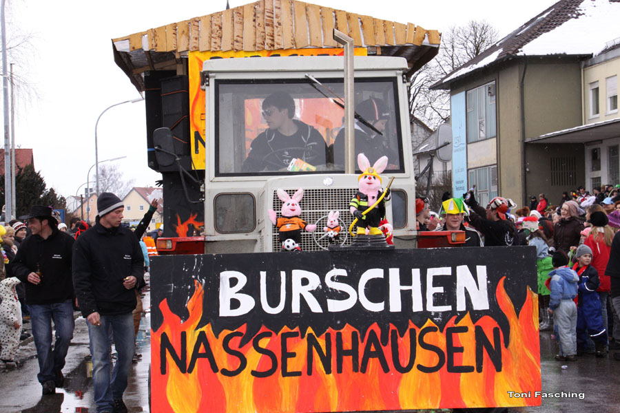 2009-02-24_058_Faschingszug