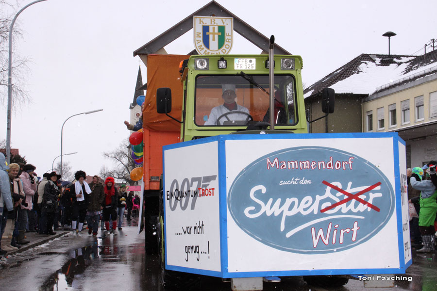 2009-02-24_083_Faschingszug