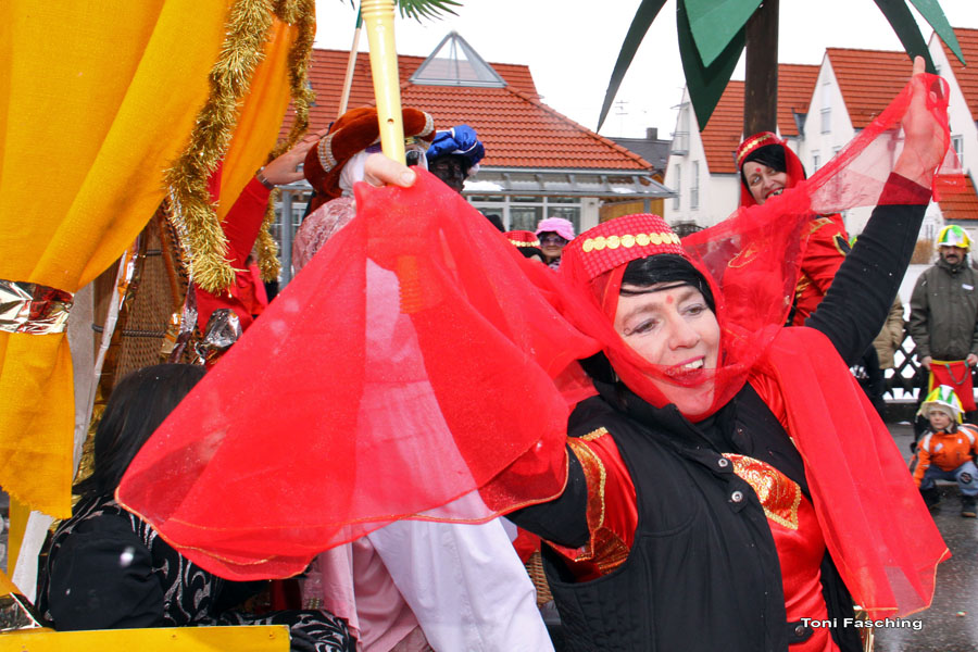 2009-02-24_096_Faschingszug