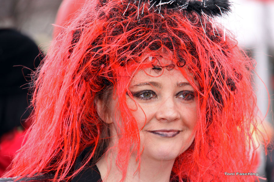 2009-02-24_135_Faschingszug