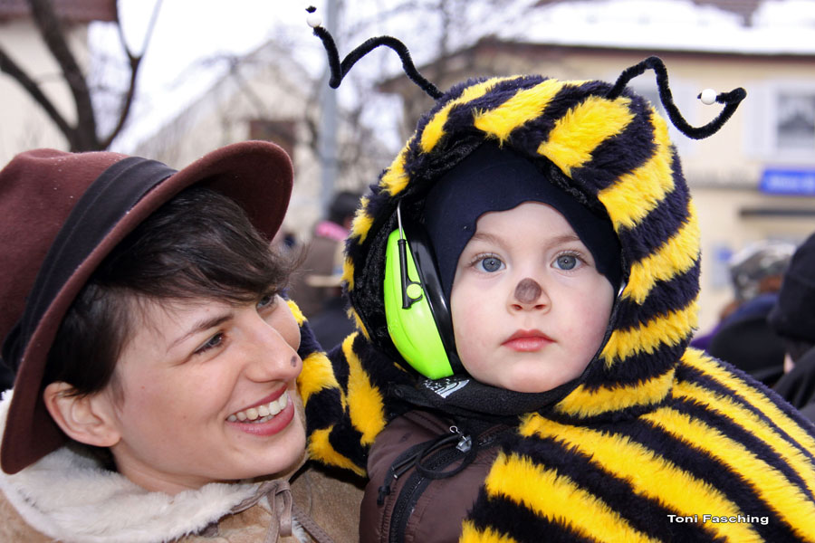 2009-02-24_149_Faschingszug