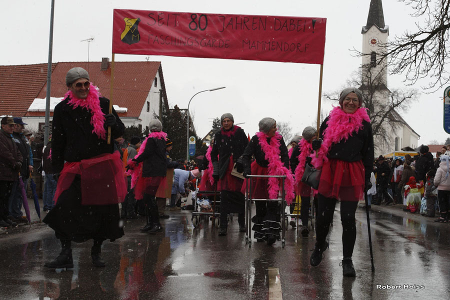 2009-02-24_237_Faschingszug