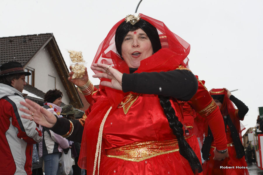 2009-02-24_247_Faschingszug