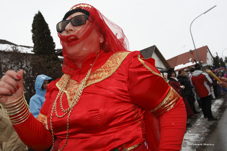 2009-02-24_250_Faschingszug