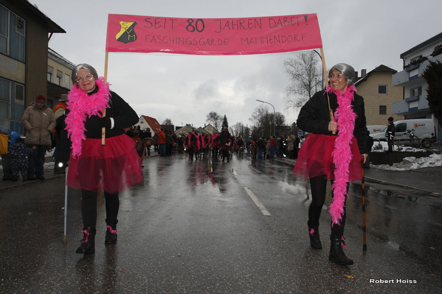 2009-02-24_350_Faschingszug