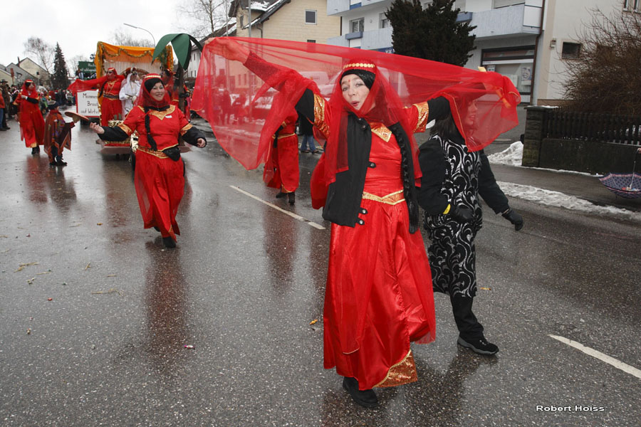 2009-02-24_363_Faschingszug