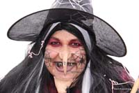 2009-02-24_031_Faschingszug