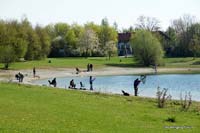 2009-04-19_03_Koenigsfischen_am_Badesee