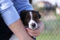 2009-04-25_17_Tennisplatz_Richtfest