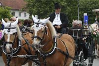 2009-05-15_027_Volksfesteinzug