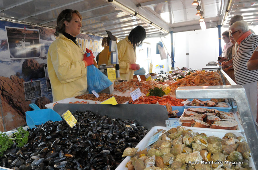 2009-09-05_008_Brem_sur_Mer