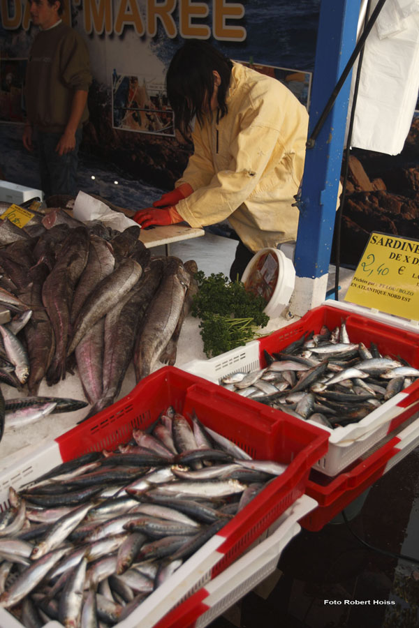 2009-09-05_077_Brem_sur_Mer