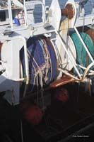 2009-09-05_075_Brem_sur_Mer