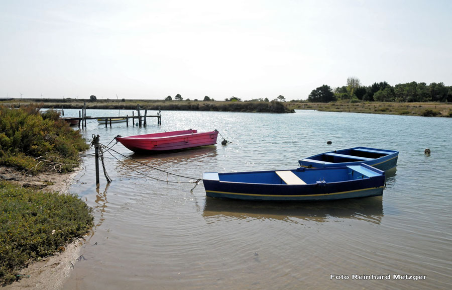 2009-09-06_008_Brem_sur_Mer