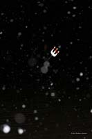 2009-12-12_34_Neptun_taucht_auf_WW