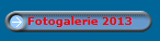 Fotogalerie 2013