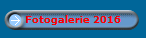 Fotogalerie 2016