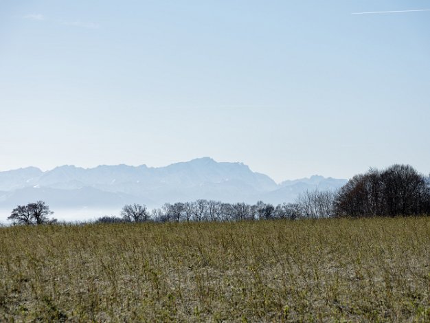 2024 12 31 Impressionen Dezember Thomas Ulbricht