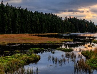 2025-09-22_006_Grosser Arbersee_1466_AR