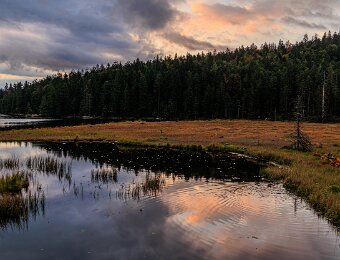 2025-09-22_007_Grosser Arbersee_1474_AR