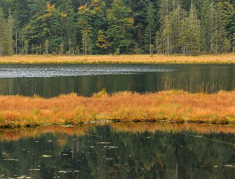 2025-09-22_009_Grosser Arbersee_2203_AR