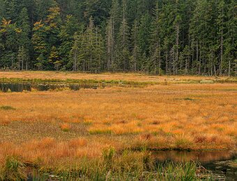 2025-09-22_011_Grosser Arbersee_2245_AR