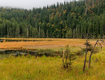 2025-09-22_012_Grosser Arbersee_2263_AR