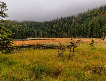 2025-09-22_014_Grosser Arbersee_2280_AR