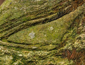 2025-09-22_015_Grosser Arbersee_2291_AR