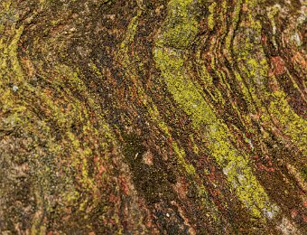 2025-09-22_016_Grosser Arbersee_2293_AR