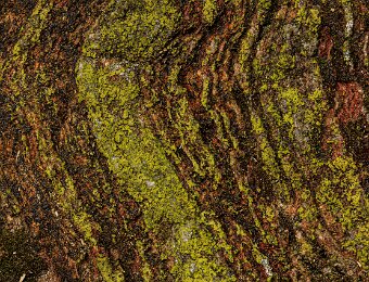 2025-09-22_018_Grosser Arbersee_2301_AR