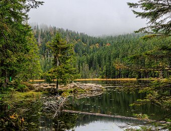 2025-09-23_020_Grosser Arbersee_2427_AR