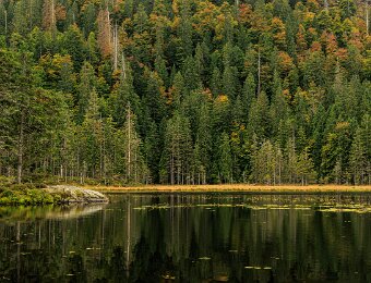 2025-09-23_021_Grosser Arbersee_2504_AR