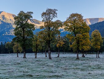 2025-10-02_003_Grosser-Ahornboden__AR