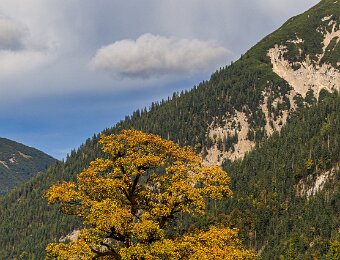 2025-10-08_007_Grosser-Ahornboden_3661_AR