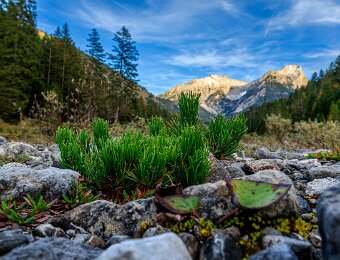 2025-10-08_014_Grosser-Ahornboden__AR