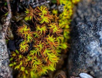 2025-10-08_016_Grosser-Ahornboden_3846_AR