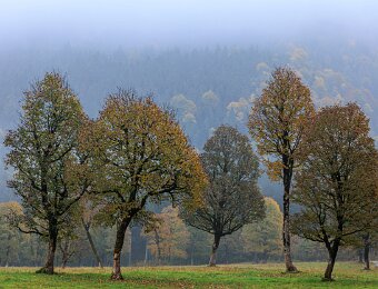 2025-10-09_017_Grosser-Ahornboden_9734_AR